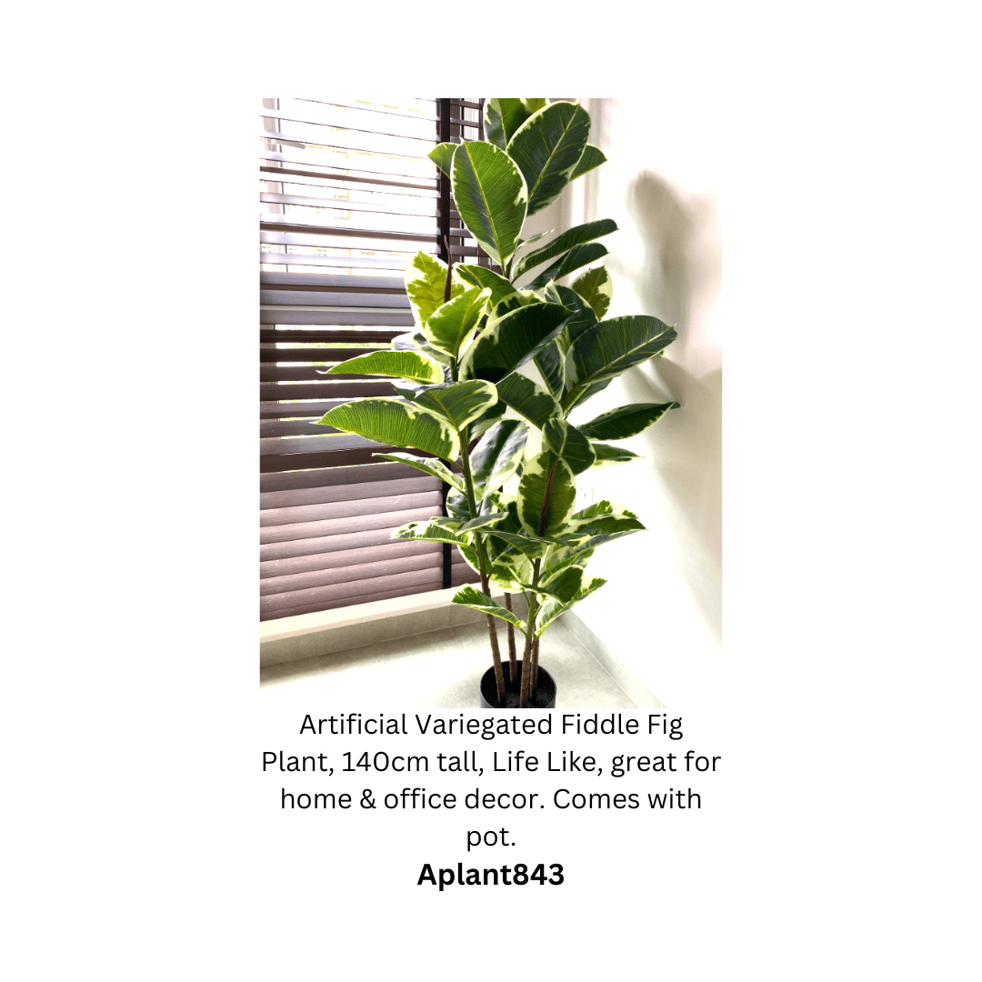 140cm Artificial Plant Variegated Fiddle Fig Plant, faux plant, fake plant, home decor, events, garden Aplant843