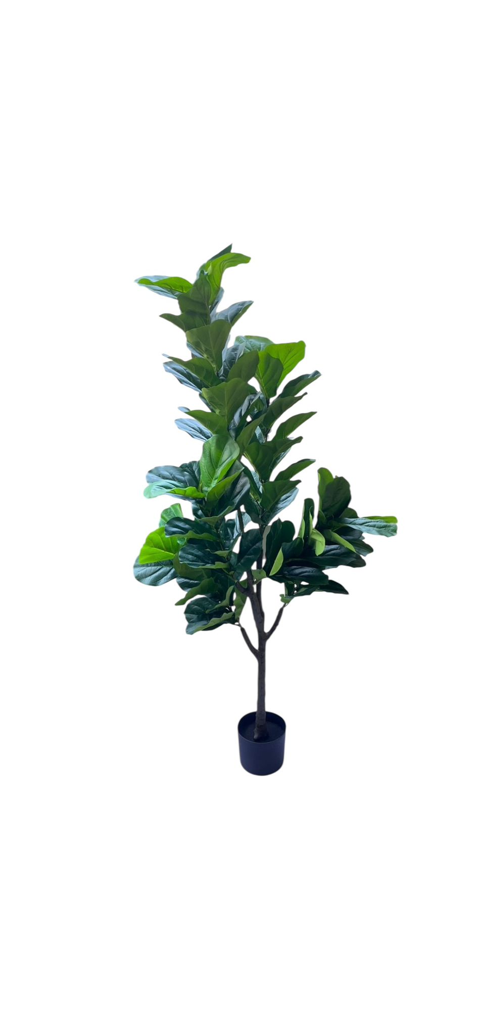 160cm Artificial Fiddle Leaf Fig Tree