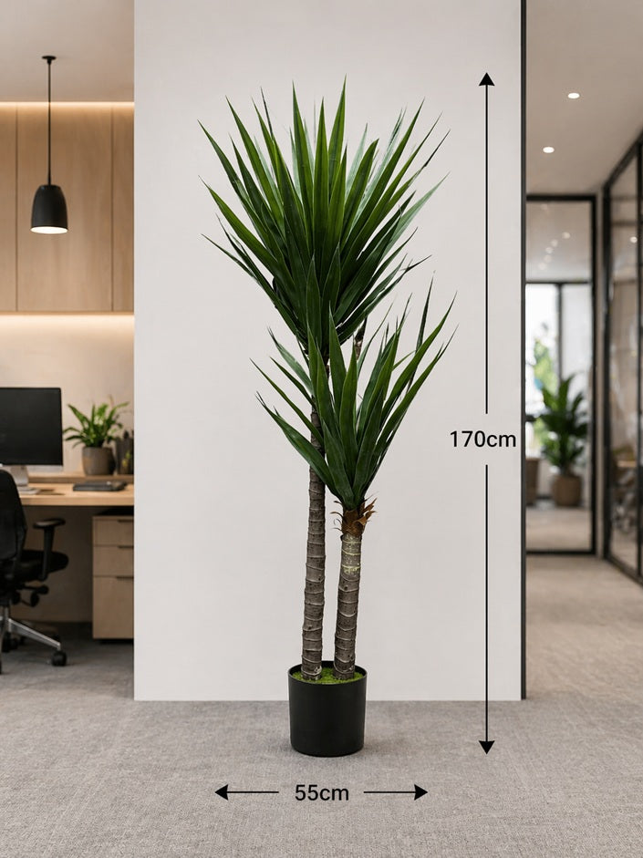 Two 170cm artificial Yucca plants with multiple leaves, showcased as realistic faux home decor from Alton Flowers.