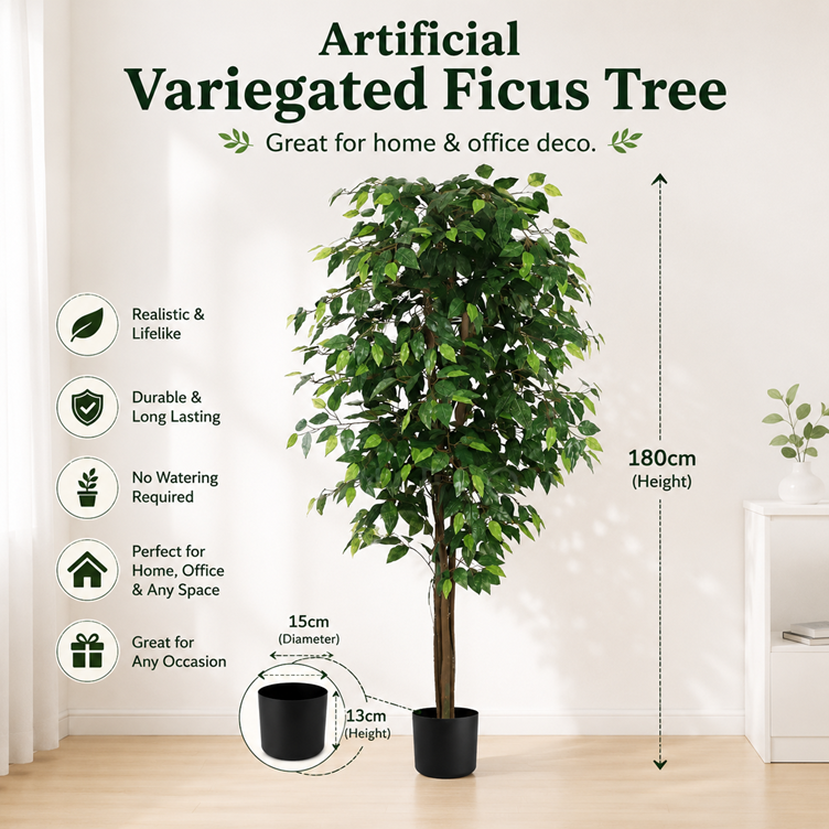 180cm Plant Artificial Variegated Ficus Tree faux plant, home decor, garden, events Aplant852