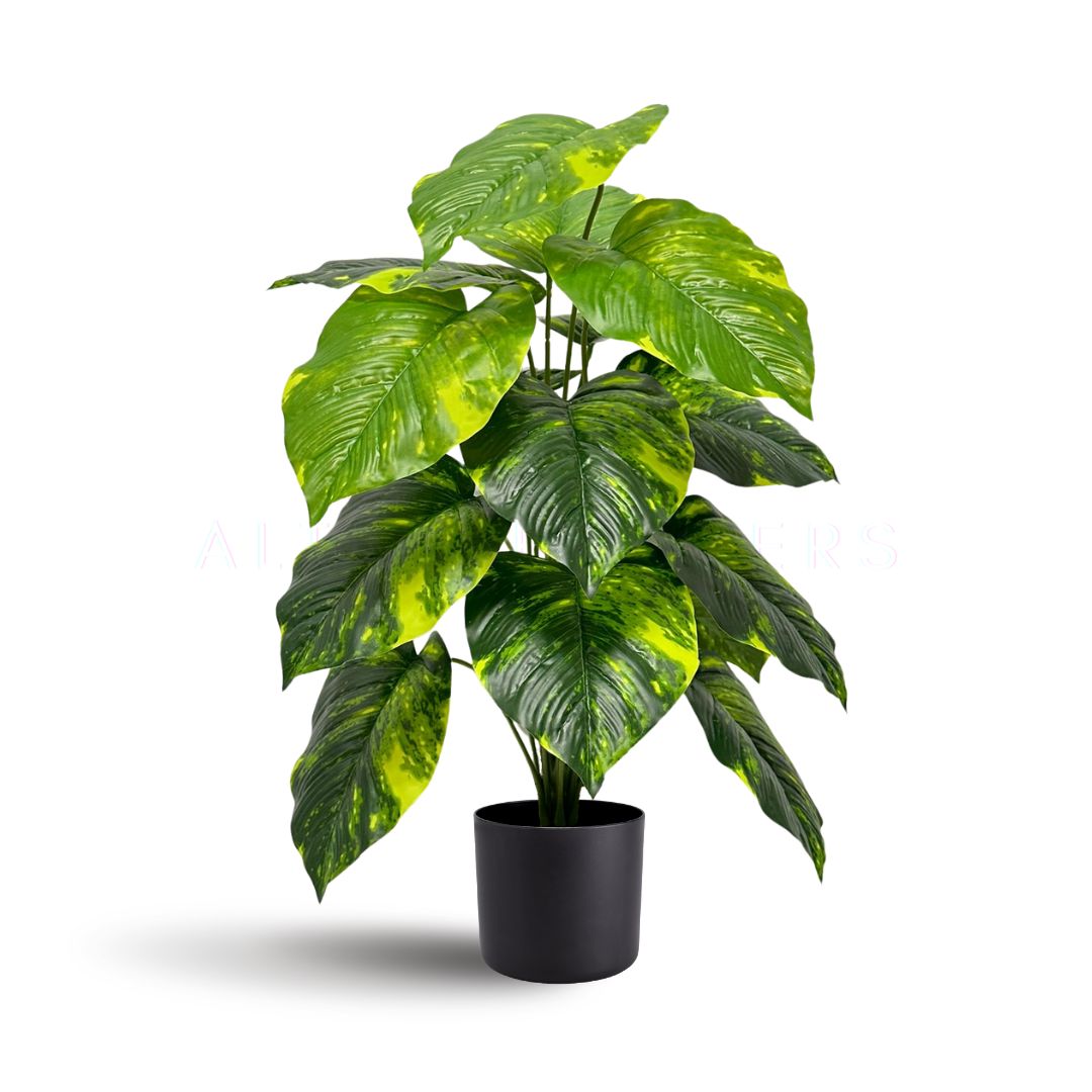 fake money plant 65cm Artificial Money Plant 65cm fake, home decor, office, garden, eve
