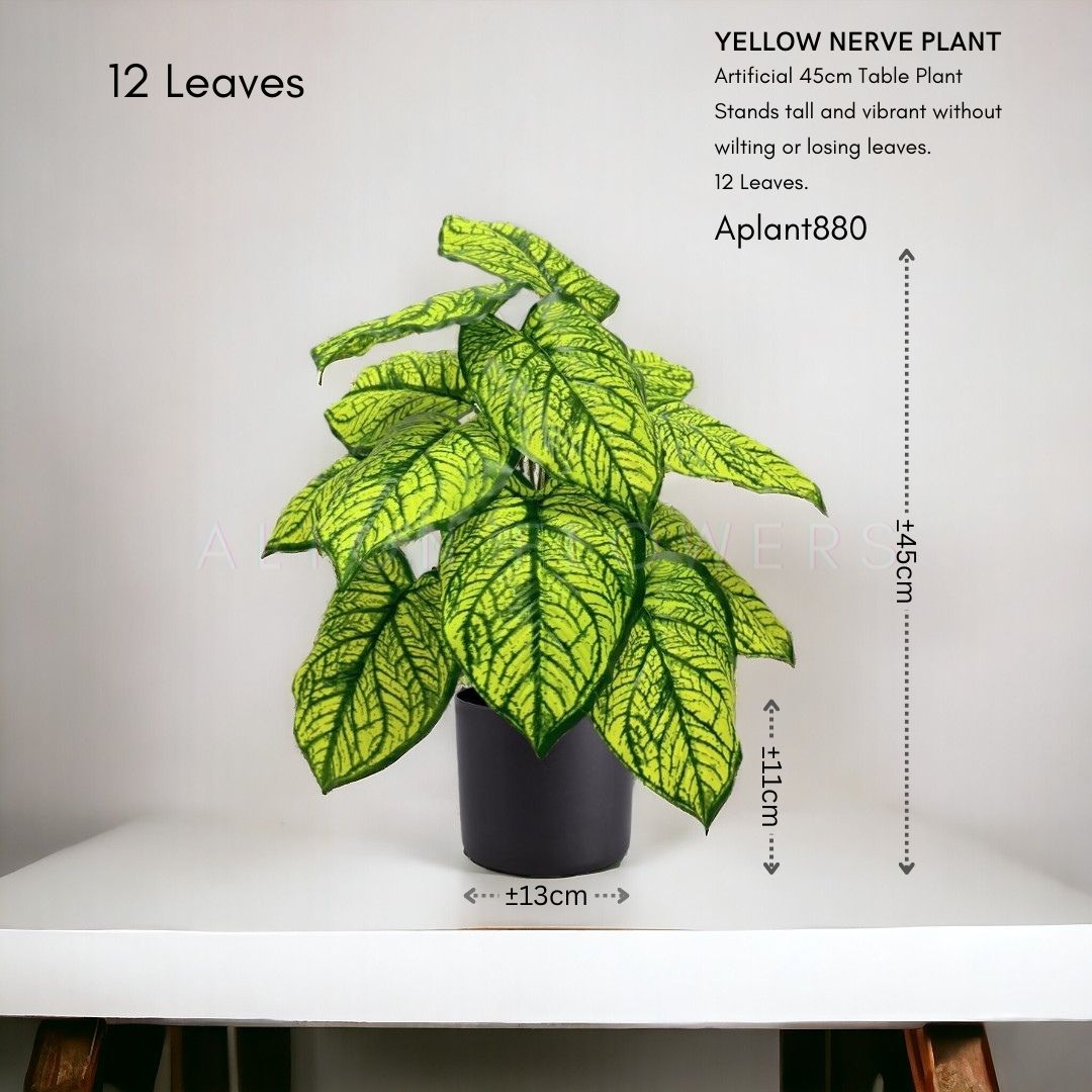 Artificial 45cm yellow nerve plant in black pot by Alton Flowers, ideal for home, office, garden, or event decor.
