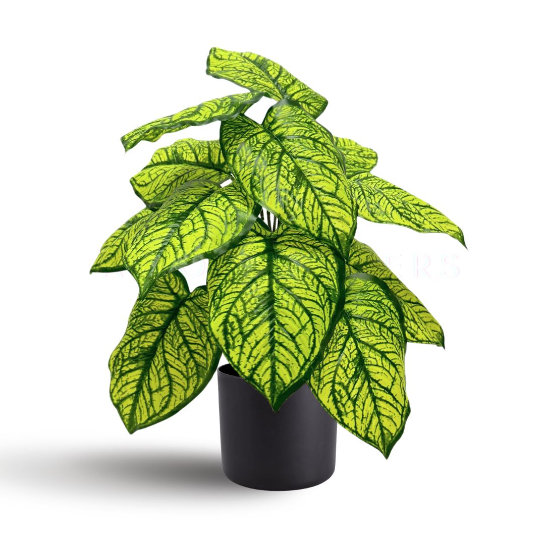 Artificial 45cm yellow nerve plant in black pot by Alton Flowers, ideal for home, office, garden, or event décor.