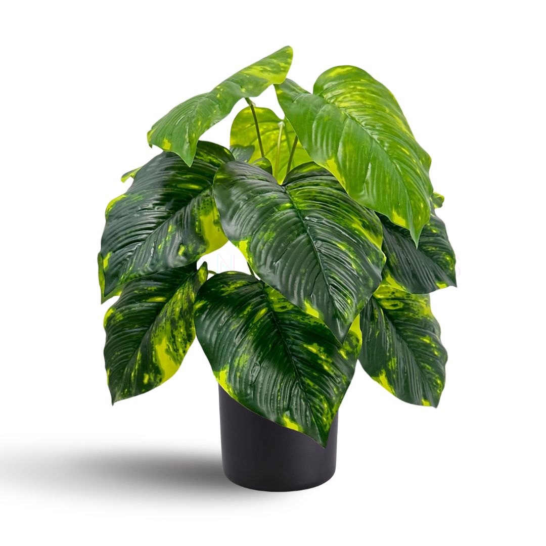 45cm Artificial Money Plant with pot Home Office Garden Events Aplant881 - Alton Flowers