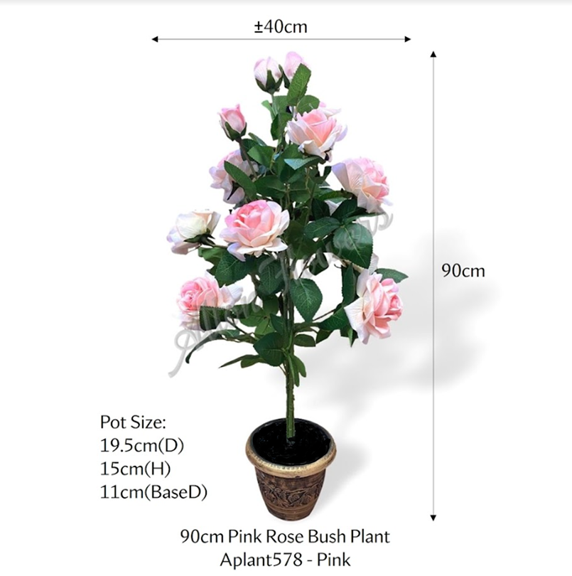 Pink velvet rose bush plant in a pot by Alton Flowers, 90cm tall with lush, soft velvet petals and green foliage.