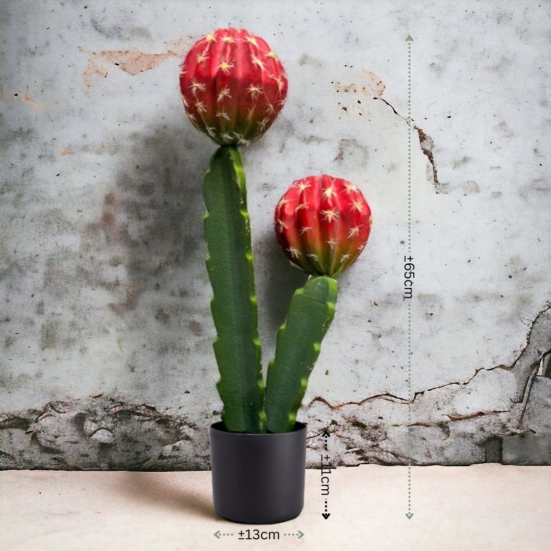 43cm Plant Artificial Crown Cactus, home decor, garden, events. Aplant940
