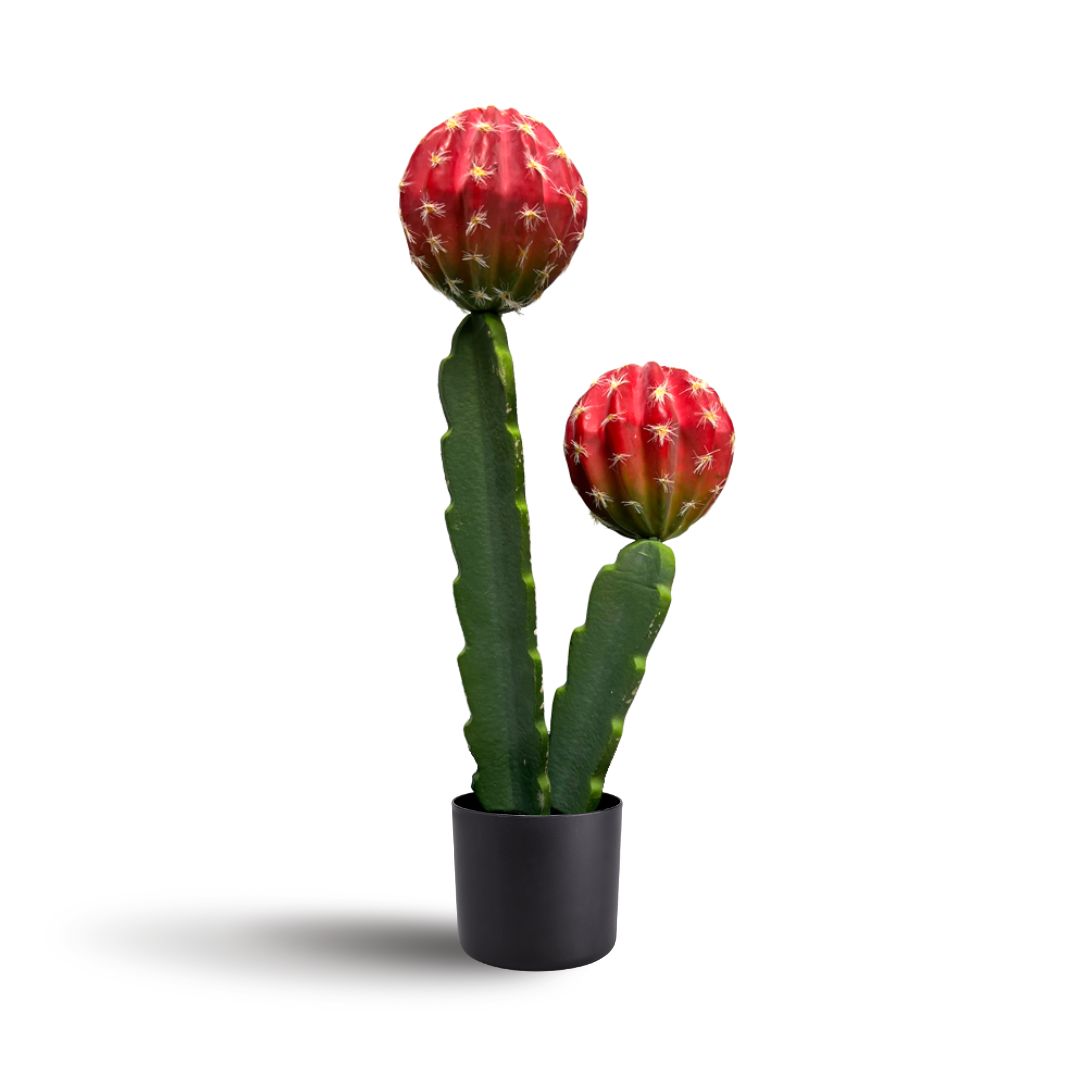 43cm Plant Artificial Crown Cactus, home decor, garden, events. Aplant940