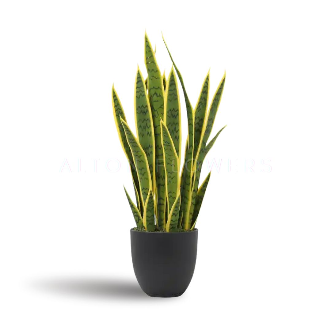 Artificial green and yellow snake plant in a black round pot, suitable for indoor home or office decor.