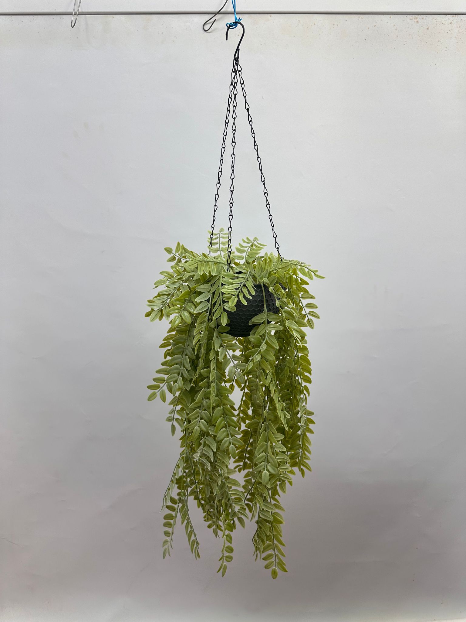 Hanging Plant Artificial Sophora Leaves Bush with Hanging Pot, Home Decor, Garden, Events Aplant946