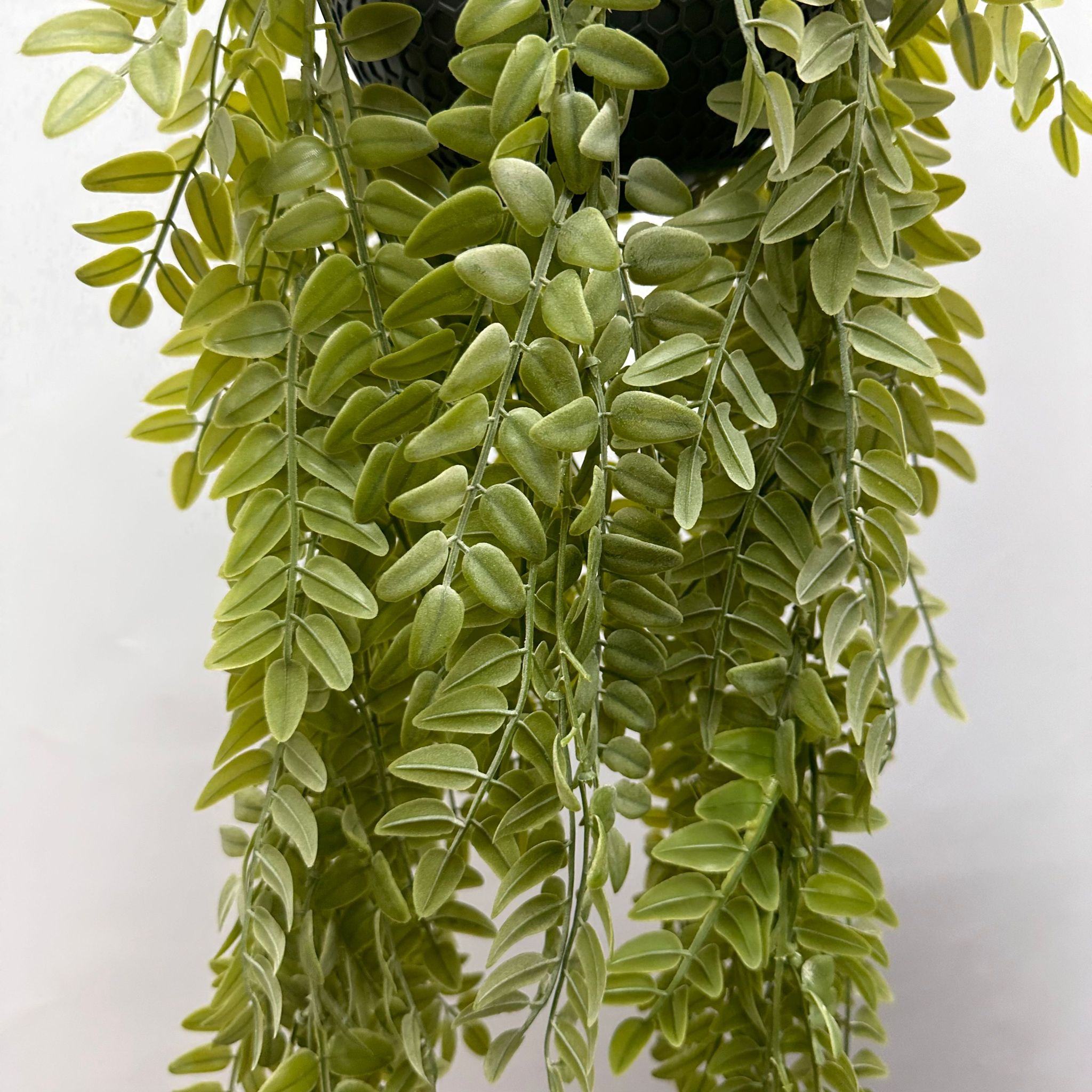 Hanging Plant Artificial Sophora Leaves Bush with Hanging Pot, Home Decor, Garden, Events Aplant946