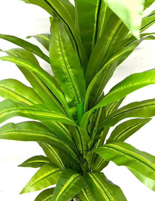160cm Plant Dracena x3 heads Artificial, home decor, events, gardens Approx 5 feet, Aplant947