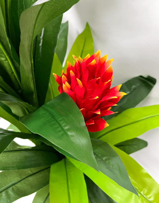 160cm Artificial Protea Plant x3 heads with flowers, Home Decor, Events, Gardens Aplant948