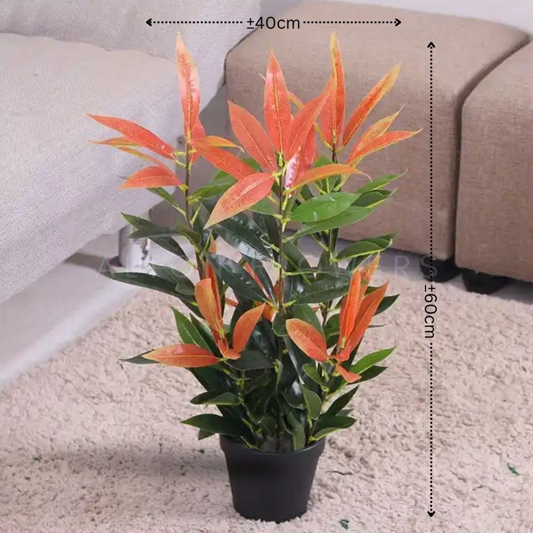 55cm Plant Artificial Photinia with Pot, home decor, gardening, events, balcony, decoration Aplant949