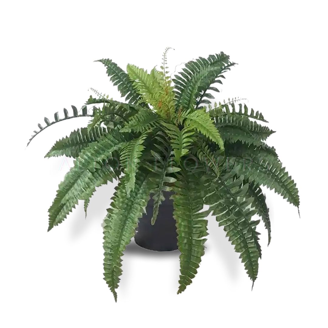 55cm Artificial Plant Boston Fern, home decor, garden, balcony, events, flowers Aplant952