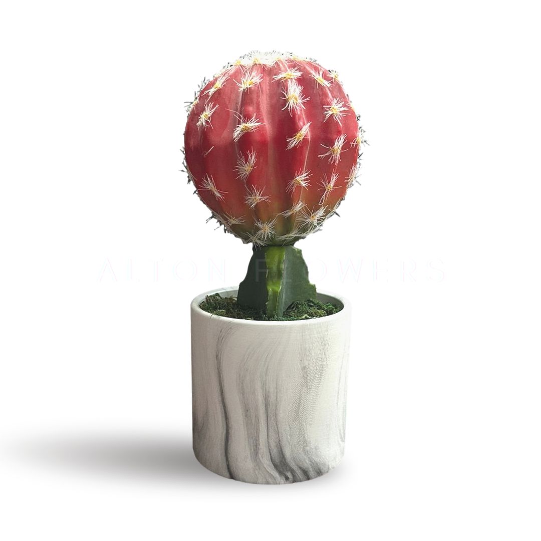 23cm Artificial Plant Crown Cactus in a Marble Ceramic Pot, home office deco, Aplant967
