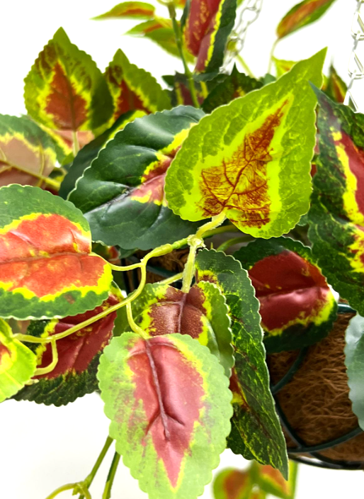 Hanging Plant with Cocofibre Pot, home decor, garden, events, balcony Aplant969