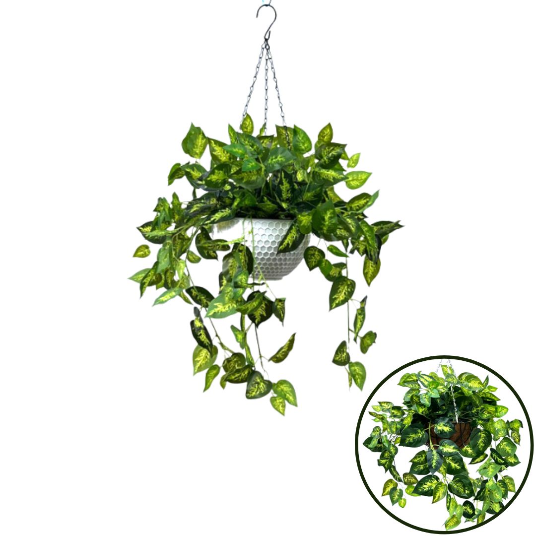Hanging Plant with Plastic Pot, home decor, garden, events, balcony Aplant971