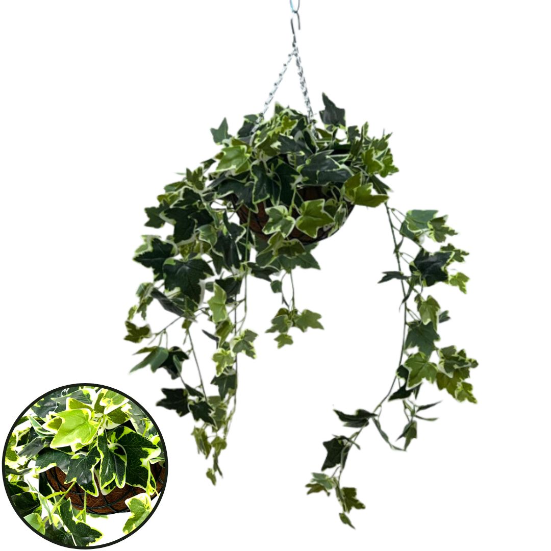 Hanging Plant with Plastic Pot, home decor, garden, events, balcony Aplant973