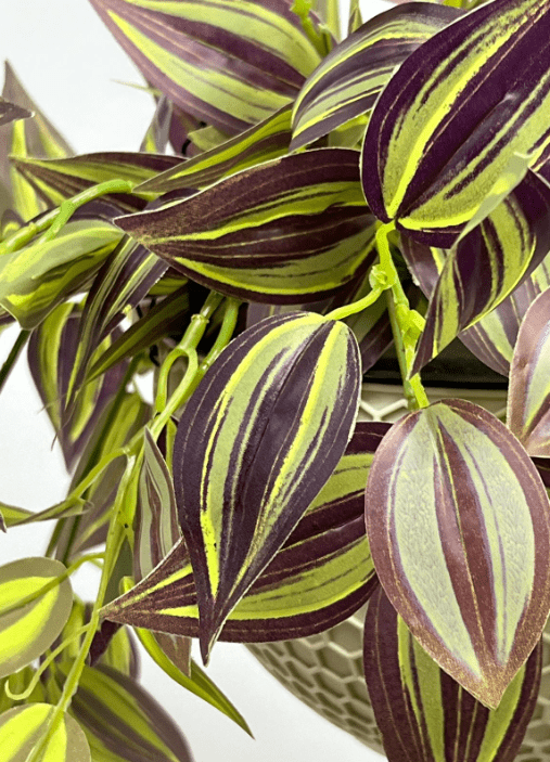 Hanging Plant with Plastic Pot, home decor, garden, events, balcony Aplant975