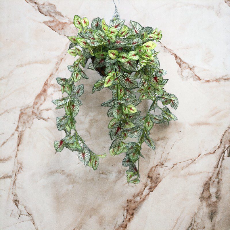 Hanging Plant with Plastic Pot, home decor, garden, events, balcony Aplant976