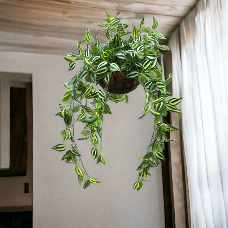 Hanging Plant with Plastic Pot, home decor, garden, events, balcony Aplant977