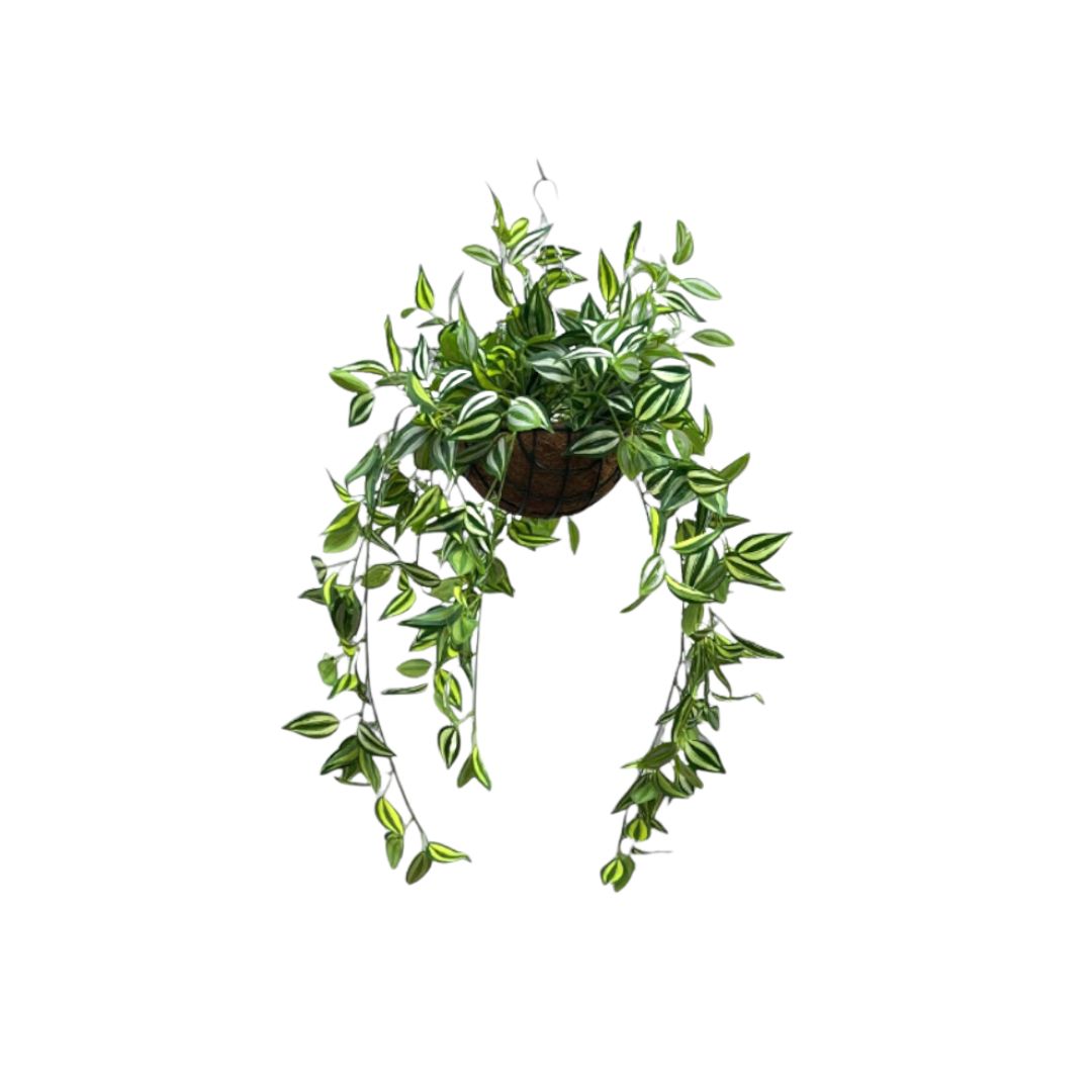Hanging Plant with Plastic Pot, home decor, garden, events, balcony Aplant977