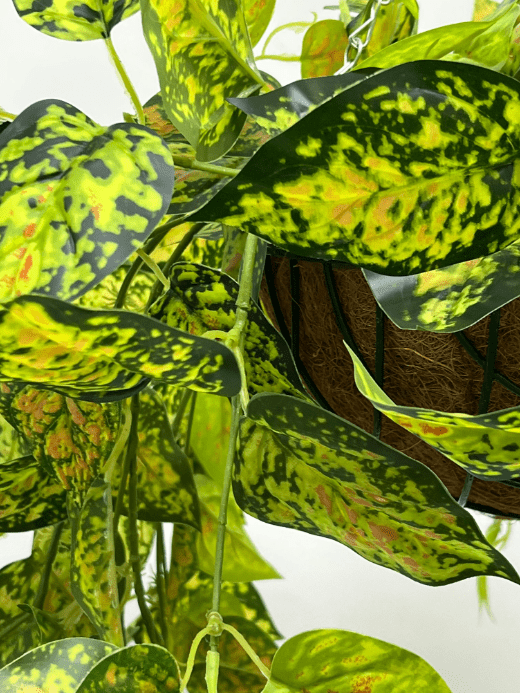 Hanging Plant with Plastic Pot, home decor, garden, events, balcony Aplant978