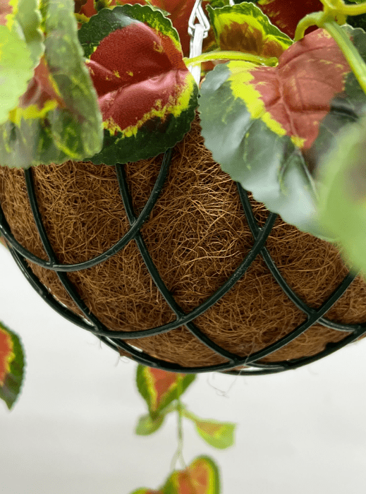 Hanging Plant with Plastic Pot, home decor, garden, events, balcony Aplant979