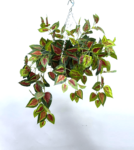 Hanging Plant with Plastic Pot, home decor, garden, events, balcony Aplant979