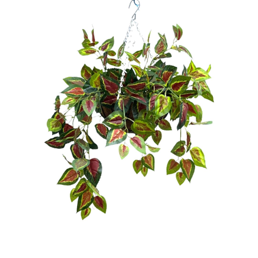 Plastic Hanging Baskets for Decoration | Indoor Pot Plants