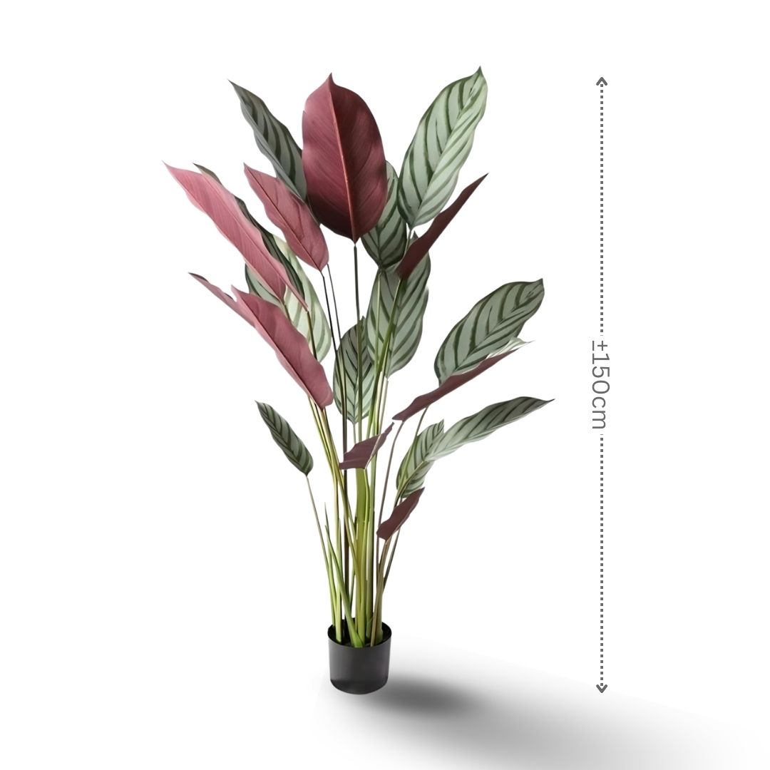 150cm NEW VARIETY Artificial Calathea Setosa Plant, Artificial, Home Decor, Events, Garden Aplant985