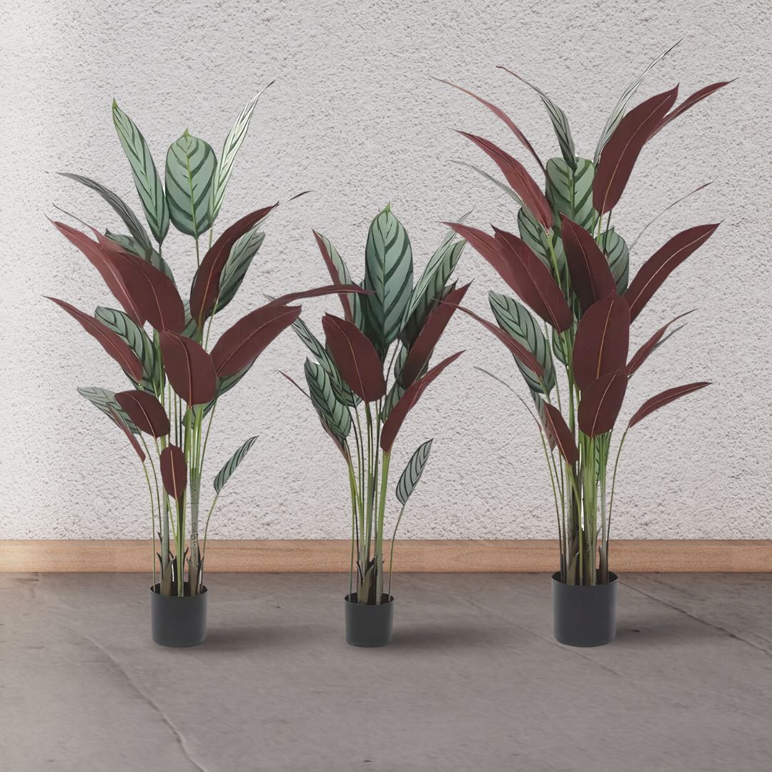 120cm Artificial Calathea Setosa Plant, Artificial, Home Decor, Events, Garden Aplant985