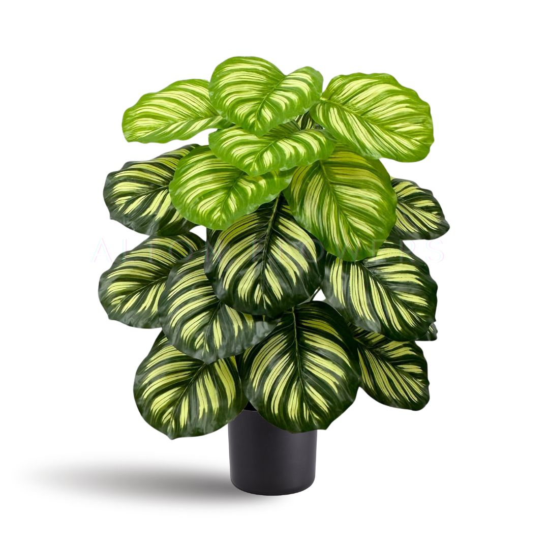 Artificial Calathea Orbifolia