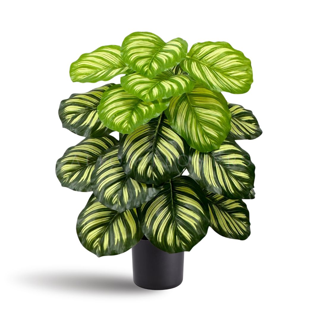 75cm Calathea Orbifolia Artificial Plant Potted 24 Leaves Aplant990