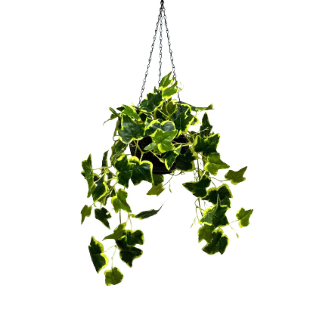 Artificial Plant Hanging with double layer plastic pot, home decor, events, garden Aplant996