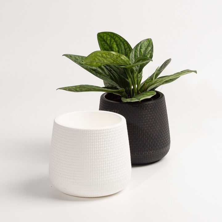 Planter for plants, both artificial & fresh, Plastic Avase207-XXS