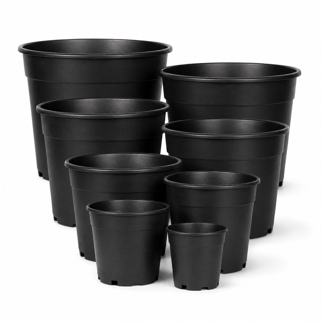 Two potted garden flowers in 16cm and 18cm plastic nursery pots with nursery trays, from Alton Flowers.