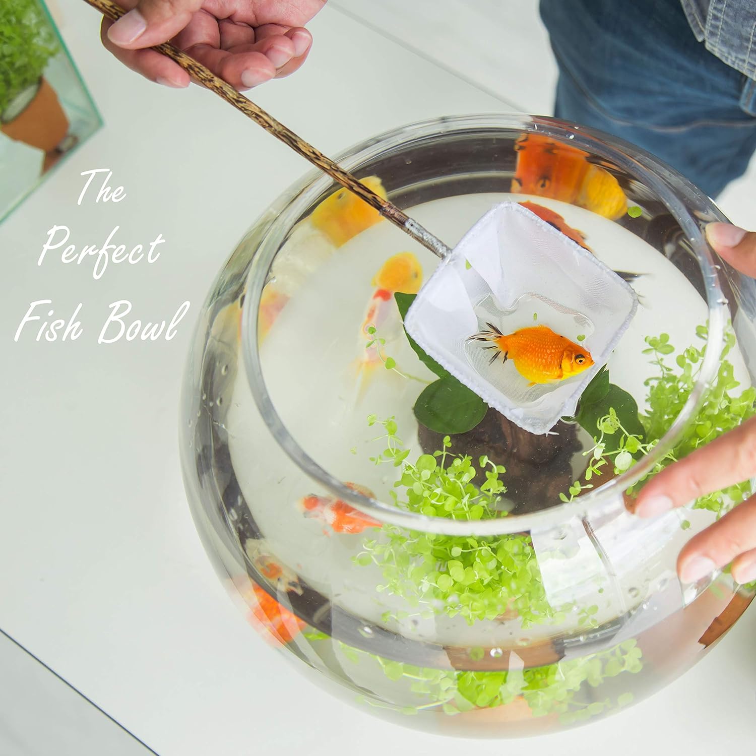 20cm Diameter Glass Fishbowl Vase for flowers, home decor, events Avase345