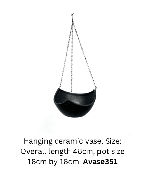 Vase ceramic hanging vase, home decor, garden, events Avase351