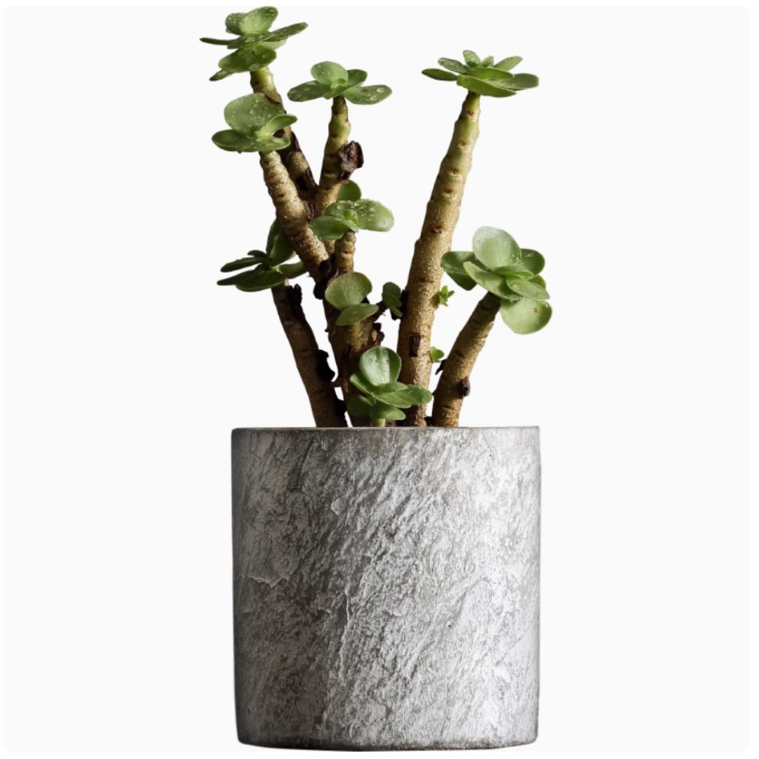 Vase Ceramic for flower, plants, plants , glass vase in metal frame , home decor , Avase395