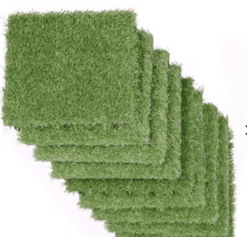 IMG 20220718 142019 1