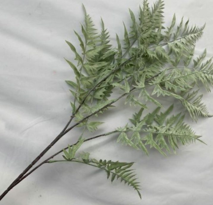 WhatsApp Image 2023 02 13 at 23.44.53