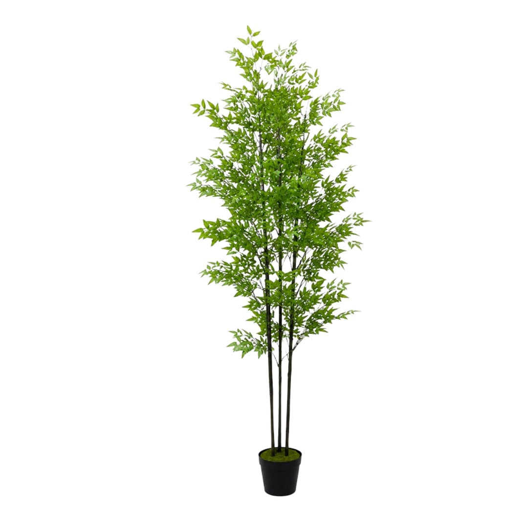 150cm Plant Artificial, Lucky Palm Bamboo, Home Decor, garden, events, Balcony, Office plants
