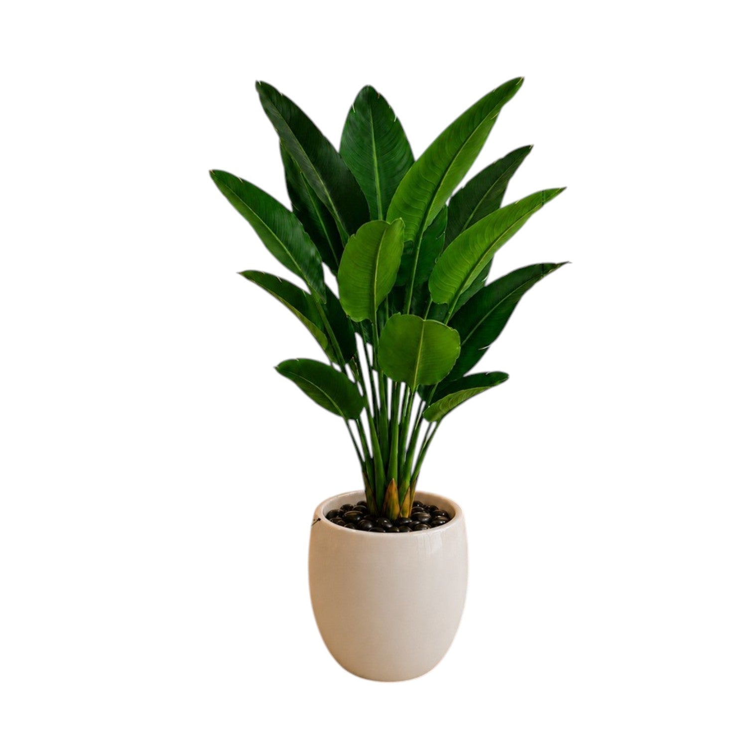 120cm Artificial Traveller Plant in a Glazed Ceramic Planter Pot