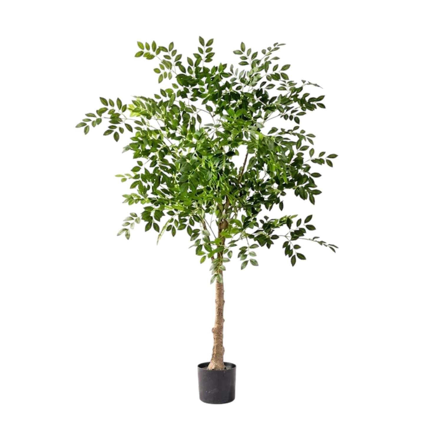 150cm Artificial Money Tree 10 stems comes with Standard Pot