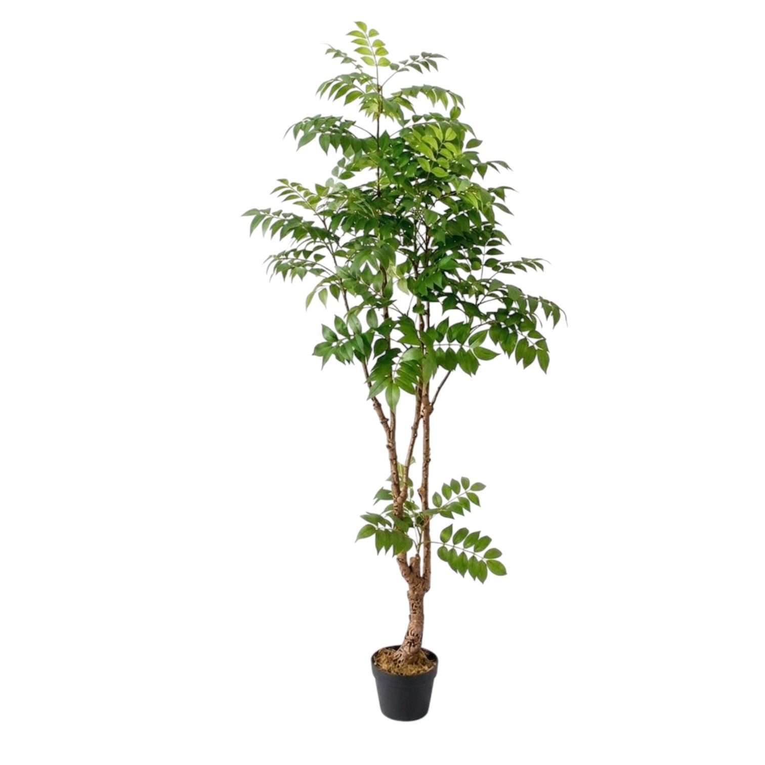 170cm Artificial Wisteria Foilage Tree