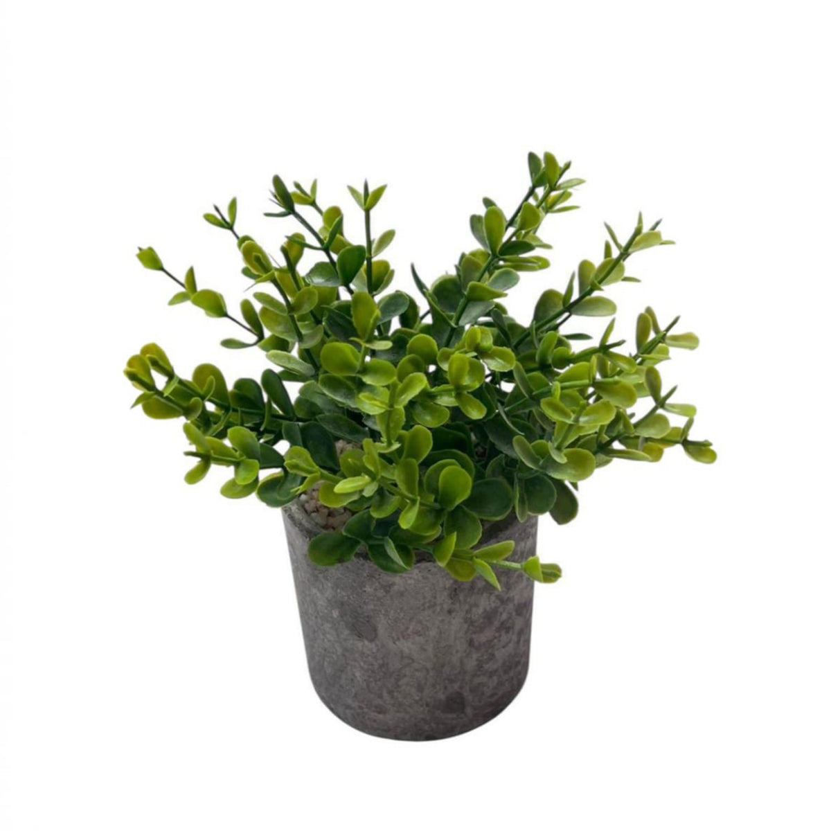 16cm Potted Plant Artifical, Succulent, flowers. home decor, garden, events