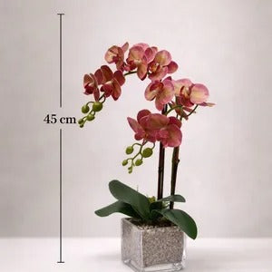 Artificial orchids in a cubic glass vase, home decor arrangement by Alton Flowers, suitable for events and stylish interior display.