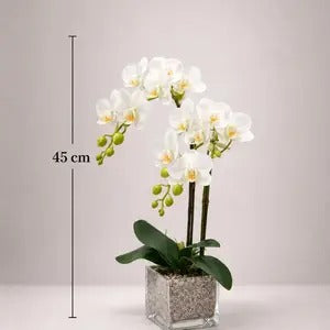 Artificial orchids arranged in a cubic glass vase, perfect for home decor or events, by Alton Flowers.