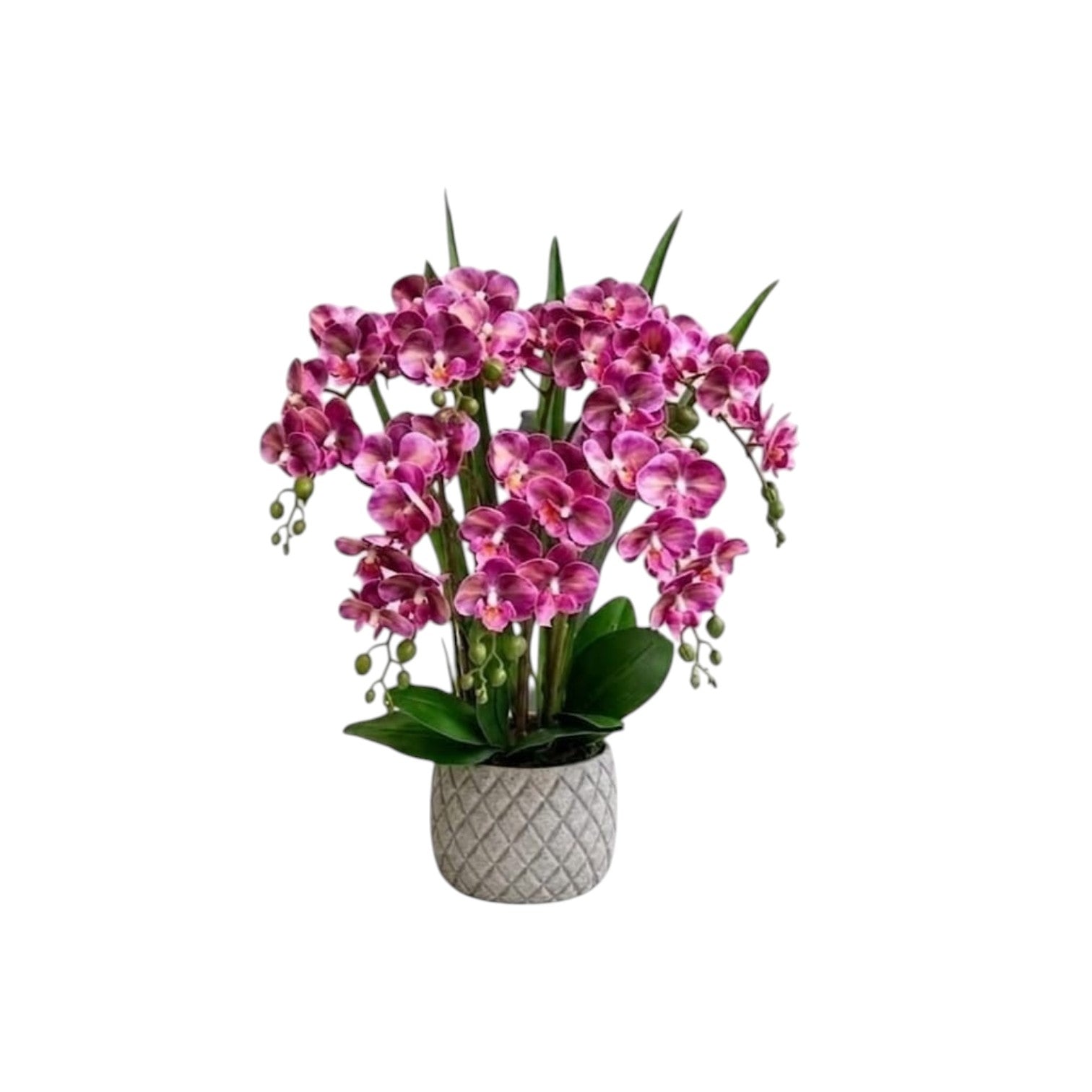Plant Orchids x7 Rubber Artificial Burgundy
